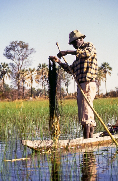 Okavango Delta II