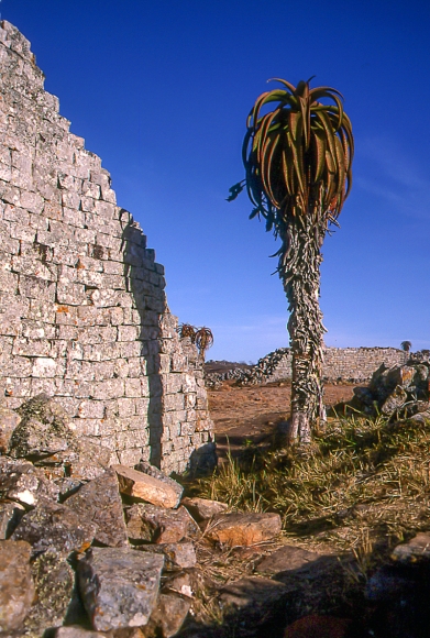 Ruins of Great Zimbabwe VI