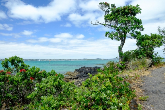 Auckland From Rangitoto Island